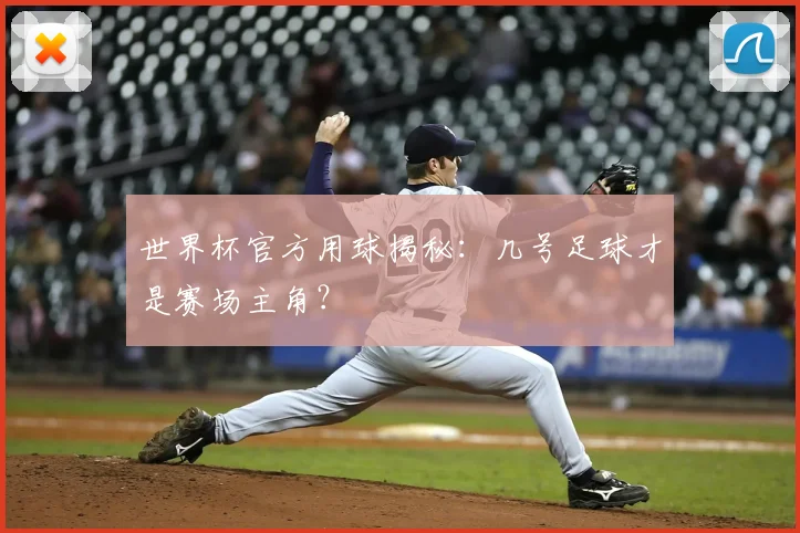 世界杯官方用球揭秘:几号足球才是赛场主角?