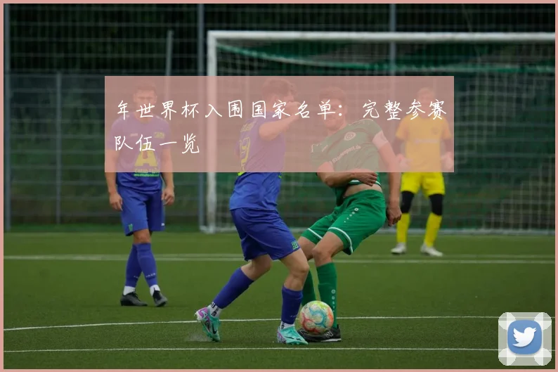 年世界杯入围国家名单:完整参赛队伍一览